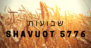 Full Schedule For Shavuot 5776 at Bonai Shalom