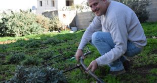 Decentralized Environmental Solutions to Off-Grid Communities