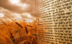 Haver Invites Community to Shavuot