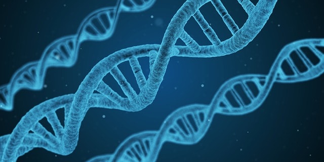 Jewish Researchers Led the Way in Bio-Tech Development in 2017