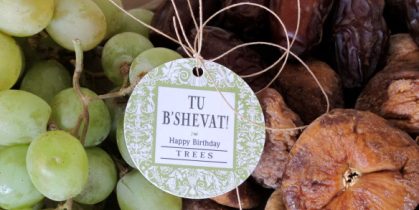 Succulants and Smoothies for Tu B’shvat
