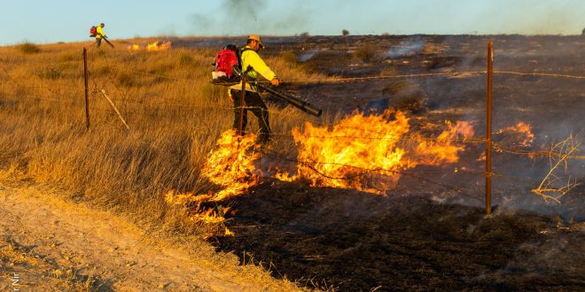 JNF Bringing Israelis to Denver to Speak About Life on Gaza Border
