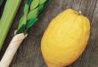Choose Your Own Esrog & Lulav; Our Boulder Sukkot Shuk is Back!