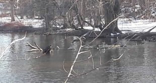 In This Stretch of Your River