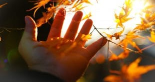 The Days of Awe
