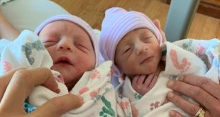Welcome Two New Community Members