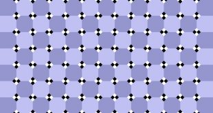 The Edges Of Illusion