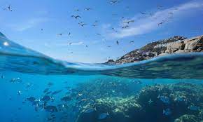 Join Jewish Meditation: Toe in the Water or Diving Deep