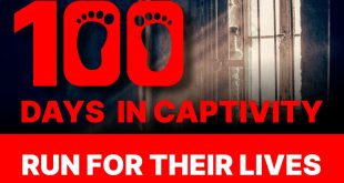 Walk in Solidarity This Sunday for Hostages Held 100 Days