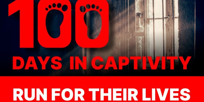 Walk in Solidarity This Sunday for Hostages Held 100 Days