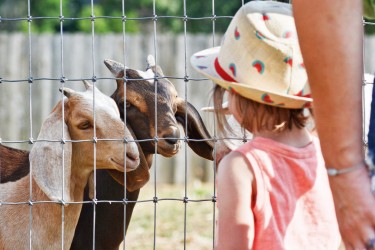 Celebrate Passover on the Farm!