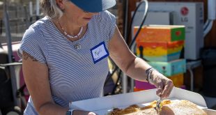 The Beit Dvash Community Beekeeping Kick-Off Event Creates a Buzz in Boulder’s Backyard