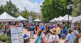 Boulder Jewish Festival 2024: A Delightful Day with 15,000 Attendees and Vibrant Entertainment