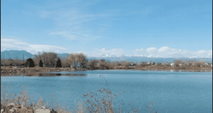 Shabbat Walk and Picnic – Humanistically