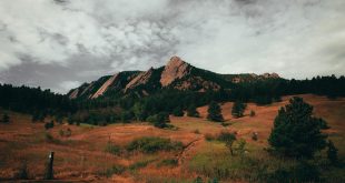 Help Bring October 7 Survivor Family to Boulder