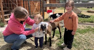 Boulder JCC Fall Family Classes: Early Learning and Parenting Education