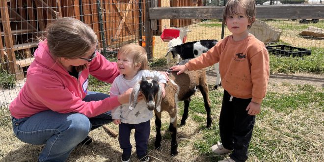 Boulder JCC Fall Family Classes: Early Learning and Parenting Education