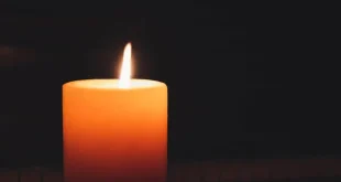 Baruch Dayan HaEmet – Sara Feigel (Lichtman) Gold z”l