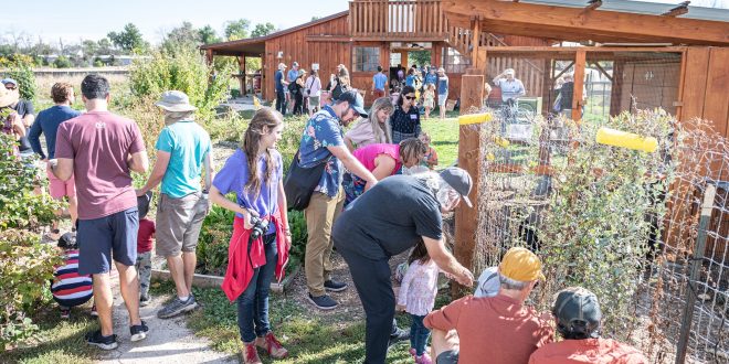 Sukkot on the Farm at the Boulder JCC