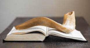 Beth Ami CCHJ Presents a Meaningful Humanistic Yom Kippur
