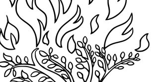 From the Burning Bush