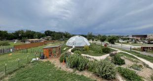Come Tour the Boulder JCC’s Milk and Honey Farm!