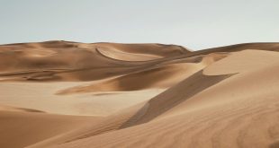 Passover: Who Left Egypt?