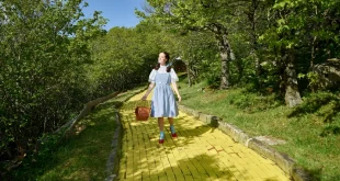 Yellow Brick Road College Counseling: Holli and Holly Guide Students with Heart, Courage, and Purpose