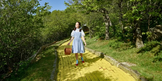 Yellow Brick Road College Counseling: Holli and Holly Guide Students with Heart, Courage, and Purpose