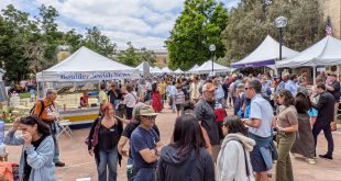 29th Boulder Jewish Festival Largest Ever