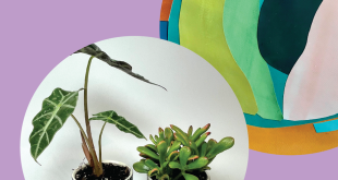 Explore Creativity This Fall: Adult Art Classes at the Boulder JCC