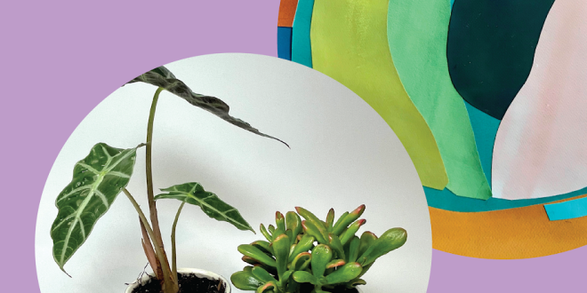 Explore Creativity This Fall: Adult Art Classes at the Boulder JCC