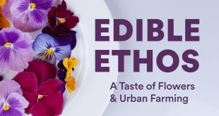 Edible Ethos: A Taste of Flowers & Urban Farming