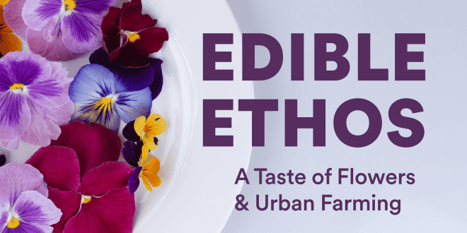 Edible Ethos: A Taste of Flowers & Urban Farming