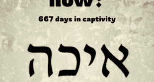 Tisha B’Av Walk for the Hostages Sunday