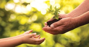Create Your Lasting Legacy: Expert Panel Reveals Smart Estate Planning Strategies