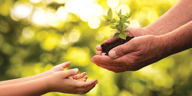 Create Your Lasting Legacy: Expert Panel Reveals Smart Estate Planning Strategies