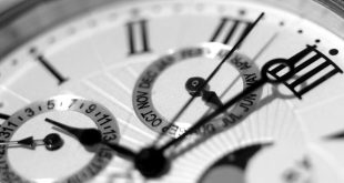Twelve Tribes, Twelve Months: Elul