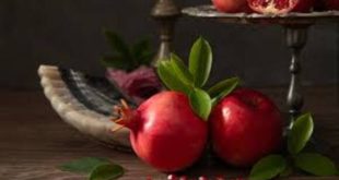Living on the Seams – Rosh HaShanah 5786