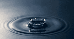Introduction to Mindfulness Course Comes to the JCC in March