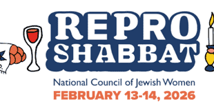 NCJW Colorado’s Havdalah and Hora Event to Reaffirm Jewish Tenets of Reproductive Rights and Freedom