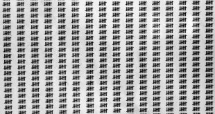 Counting the Omer: Activating Mindfulness