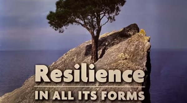 Shabbat + Resilience