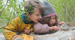 Now Enrolling: Discover the Magic of the Jay and Rose Phillips ECC for 2026-27