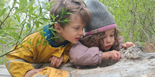 Now Enrolling: Discover the Magic of the Jay and Rose Phillips ECC for 2026-27