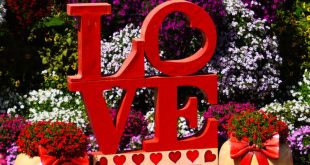 Bo El Ha’Teivah – Verb Of The Week: Ahav-Love
